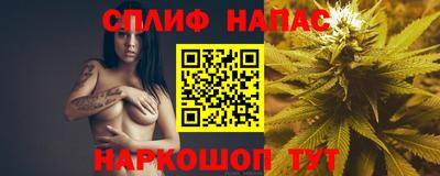 альфа пвп Заводоуковск