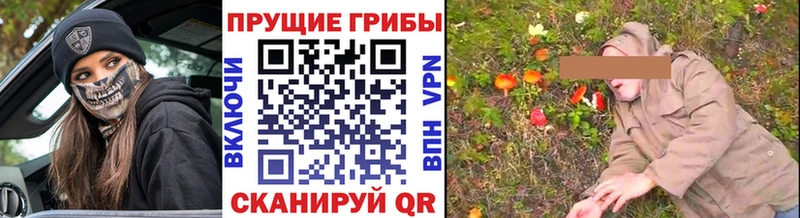 Галлюциногенные грибы GOLDEN TEACHER MEGA как войти Серов