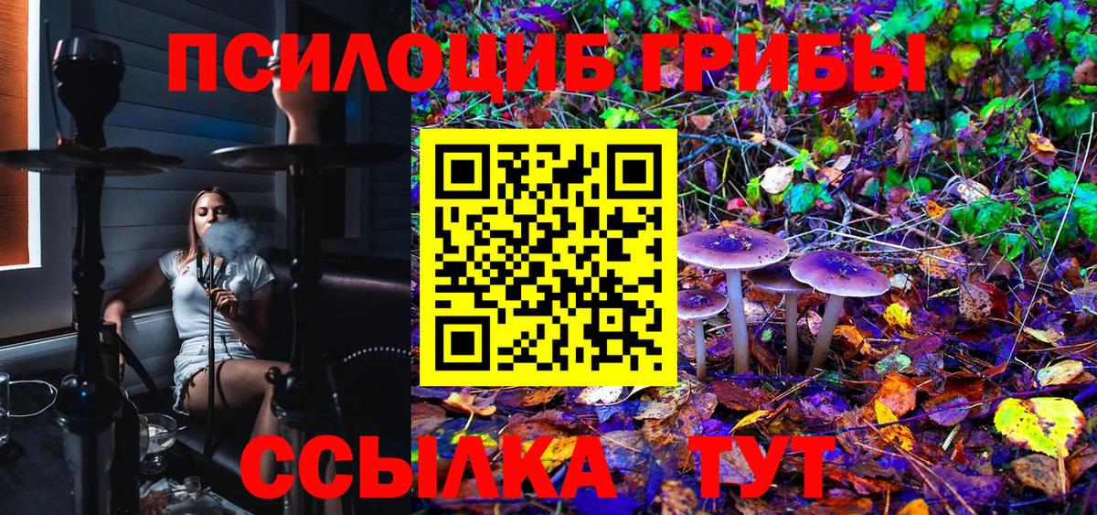 Галлюциногенные грибы Magic Shrooms  Серов  Галлюциногенные грибы Psilocybine cubensis 