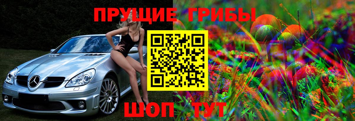 Серов  Псилоцибиновые грибы Magic Shrooms  продажа наркотиков  Вход с VPN 